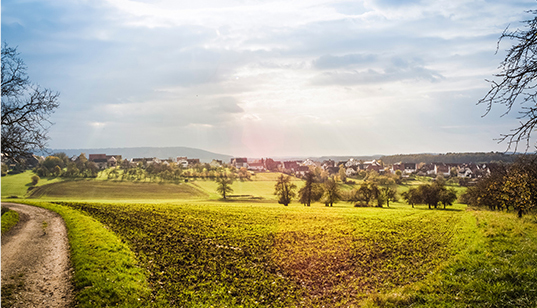 創收創富，產業扶貧